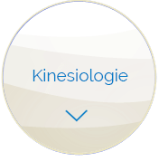 Kinesiologie